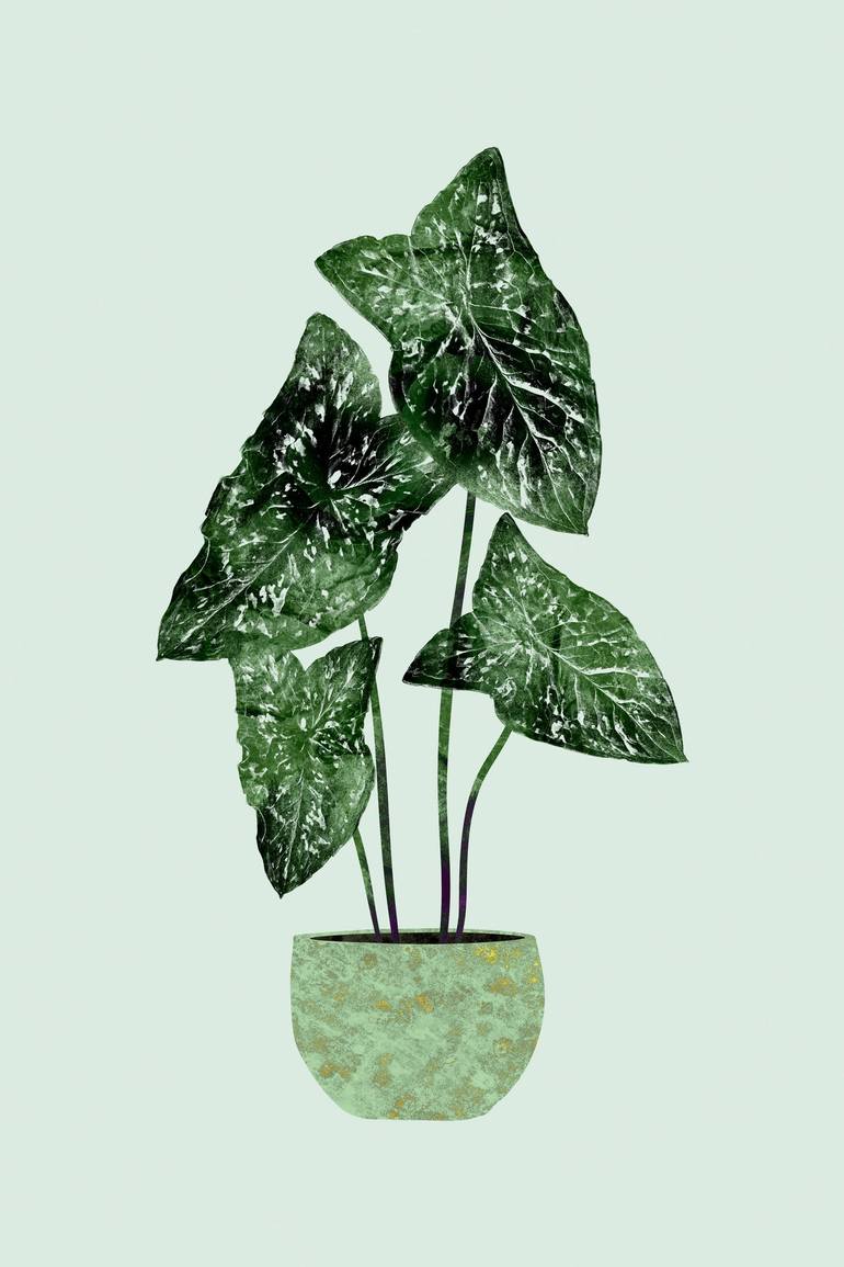 Original Abstract Botanic Drawing by Cesar Torres