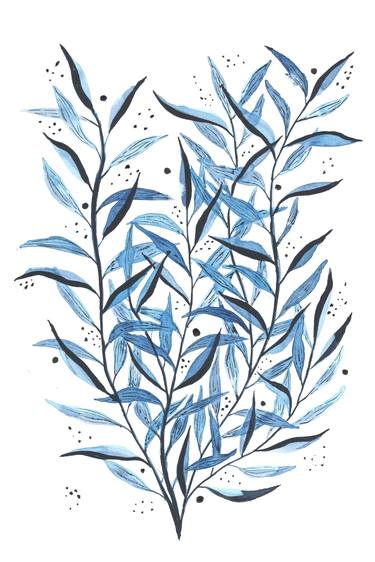 Elegant plant with blue and dark gray leaves thumb