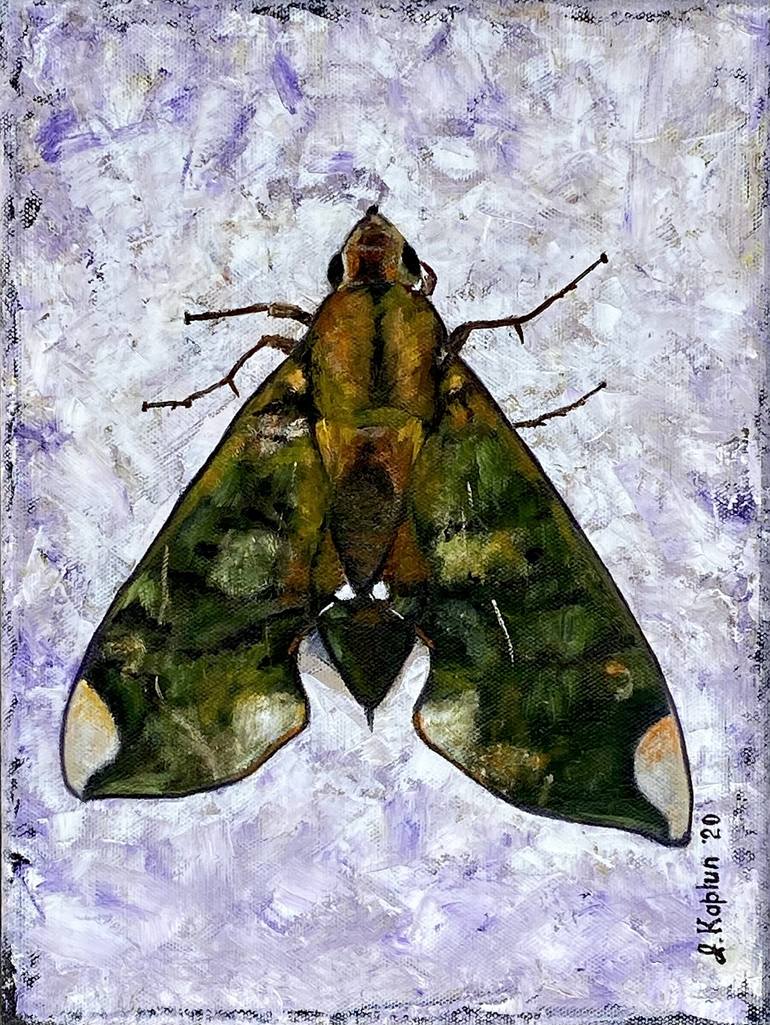 Night Guest -7. Moth Painting.
