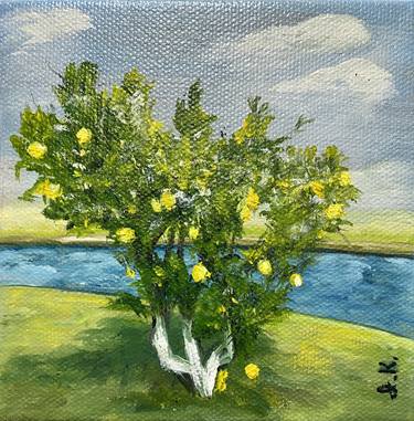 Lemon Tree Landscape. Florida Landscape. thumb