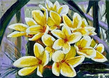 Yellow Plumeria Flowers. thumb