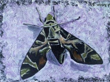 Moth Small Original Oil Painting thumb