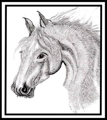 Horse Head Drawing thumb