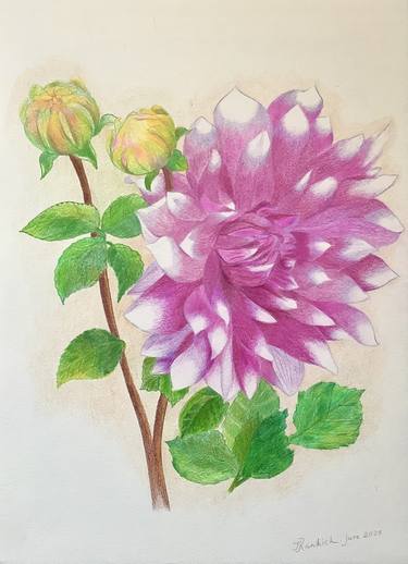 Original Expressionism Botanic Drawing by Iryna Rankich