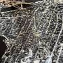Detail of part of Manhattan part of painting
