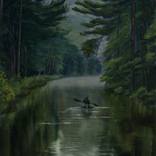 Into the Woods by Brendan Kramp