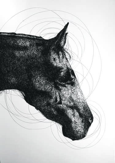 Portrait of a horse thumb