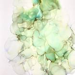 Collection New to the Fair