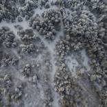 Collection Best of 2022 Curated by Rebecca Wilson