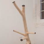 Limb by Richard Goldsworthy