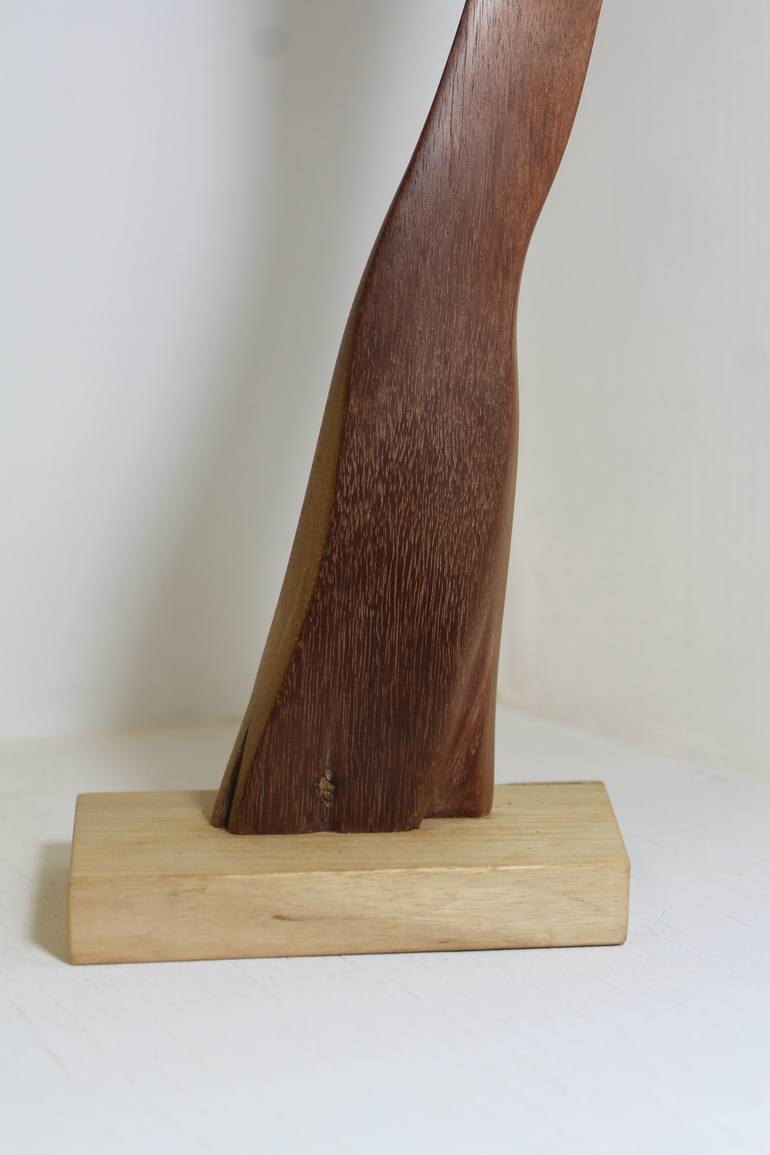 Original Figurative Abstract Sculpture by Anthony Rees