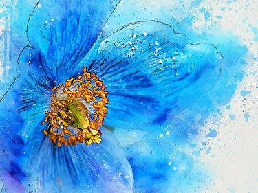 BLUE POPPY - Limited Edition number 3 of 9 thumb