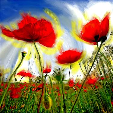 A STORM OF POPPIES - Limited Edition of 9 thumb