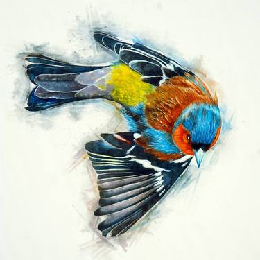 CHAFFINCH - Limited Edition of 9 thumb