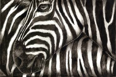 Original Animal Printmaking by Norman Clark