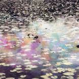 Spectral Lillies by Daniel Root