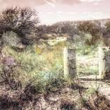 End of the Road by Daniel Root