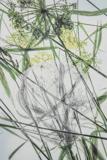 Grasses, Greens, Black, White - Limited Edition of 1 thumb