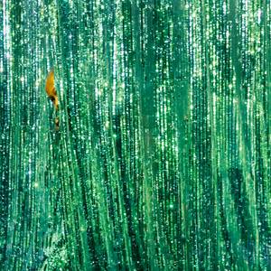 Collection The Other Art Fair Sydney 2020