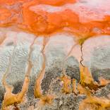 Abstract, Hutt Lagoon - Limited Edition of 20 Photograph by Anthony Ponzo