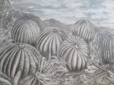 Print of Figurative Botanic Drawings by lilia ponce