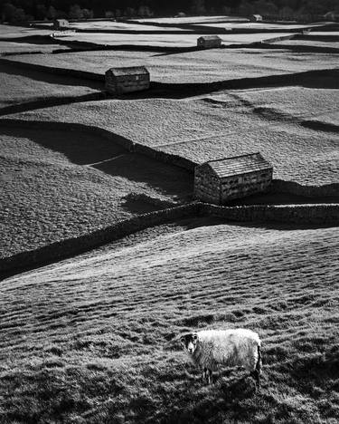 Original Documentary Landscape Photography by MEIRION HARRIES