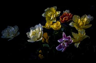 Original Photorealism Botanic Photography by MEIRION HARRIES