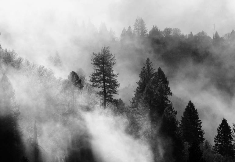 Sierra Nevada Wilderness Photography by Irina Vass | Saatchi Art