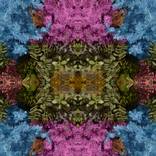 Mandala - Limited Edition of 1 by Kat Ryals