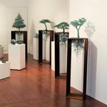 Exhibition Installation shot by Ulan Murray  and Rachel Burns Murray and Burns