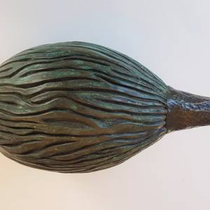 Palm Seed