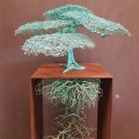Cascading Fig by Ulan Murray  and Rachel Burns Murray and Burns