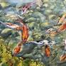 Collection Collection «Koi Fish & Ponds» by Artist Diana Malivani