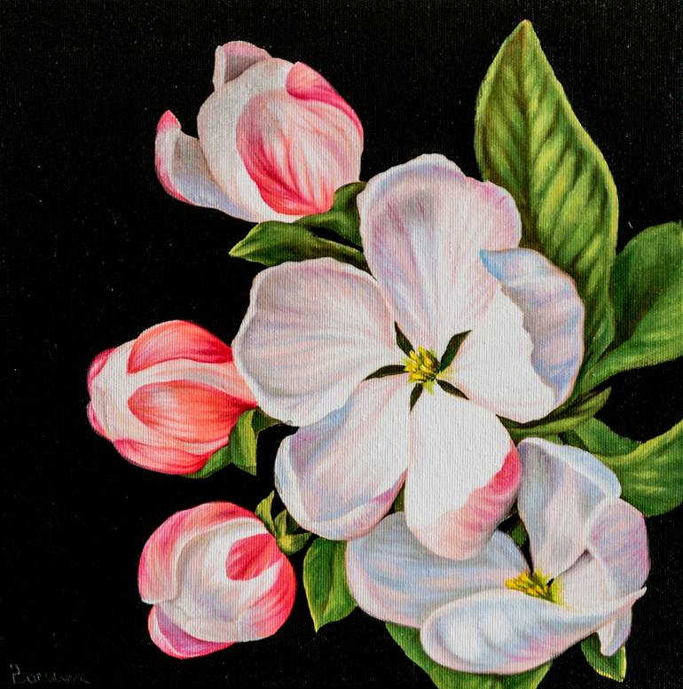 Apple Blossoms Flowers On A Black Background Oil Painting On Canvas Painting By Myroslava Voloschuk Saatchi Art
