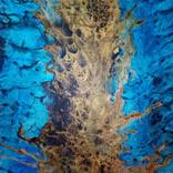 Neck of Sea Dragon by Lamia Eda Kula