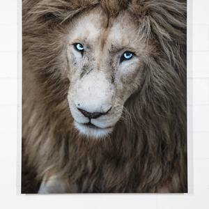 SHALOM 1 - Limited Edition of 5