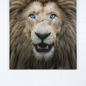 Shalom 3 - Limited Edition of 5