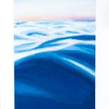 Collection Landscapes