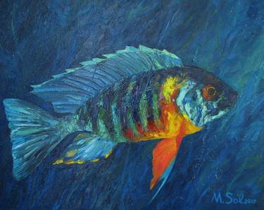 Original Fine Art Fish Paintings by Michael Sol