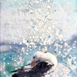 Point Break by Tanya Ogilvie-White