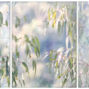 Soft Rain