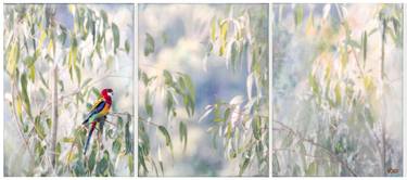 Original Figurative Nature Painting by Tanya Ogilvie-White