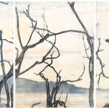 Homeward by Tanya Ogilvie-White