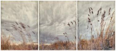 Print of Fine Art Nature Paintings by Tanya Ogilvie-White