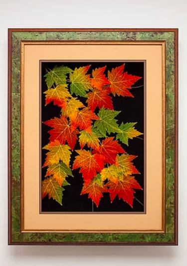 LeafLines 18x24 Red Maple Shadowbox thumb