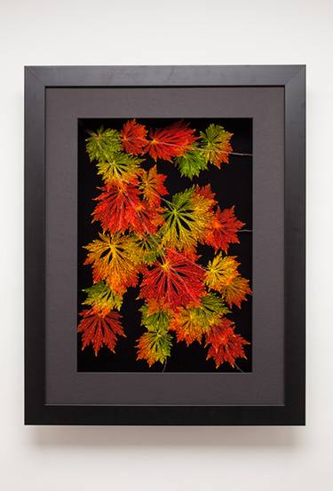 Leaf Lines 18x24 Big Leaf Maple Shadowbox thumb