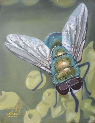 the best sleepy fly panting oil by naoufal ahocal thumb