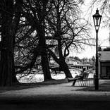 Collection streets: prague