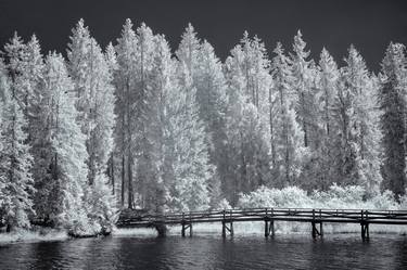 Vision of Infrared Light "Etang de la Gruère Jura" thumb