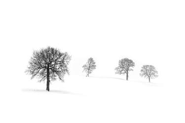 Vision of Simplicity "4 trees in the snow" - Limited Edition of 5 thumb